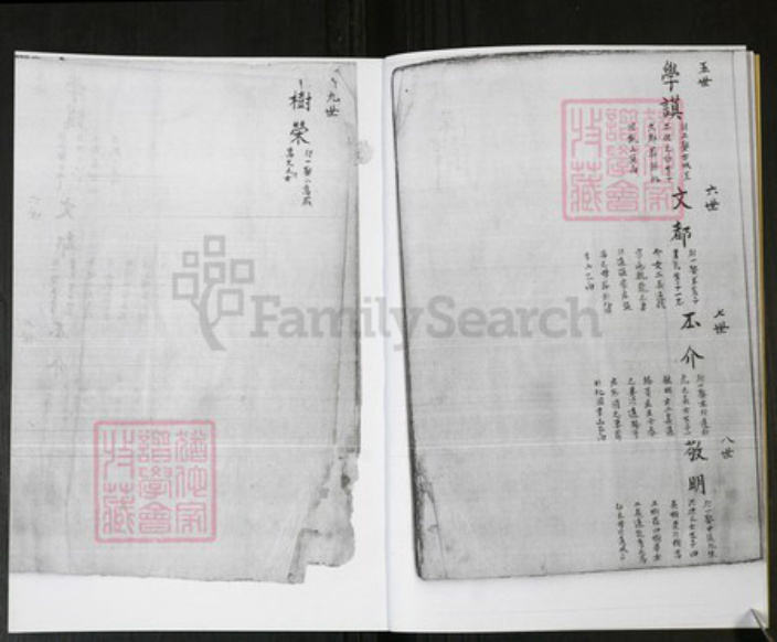 山东省青岛市即墨区管氏族谱-管氏祖谱 [不分卷].pdf电子版插图4