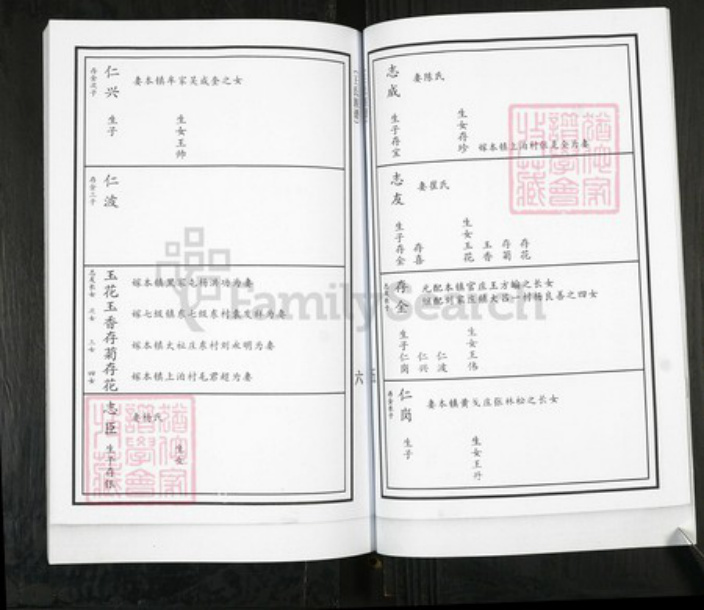 山东省青岛市即墨区王氏族谱-移风店镇堤前村王氏族谱.pdf电子版插图4