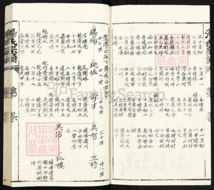 浙江省丽水市青田县汤氏族谱-汤氏宗谱.pdf电子版插图4