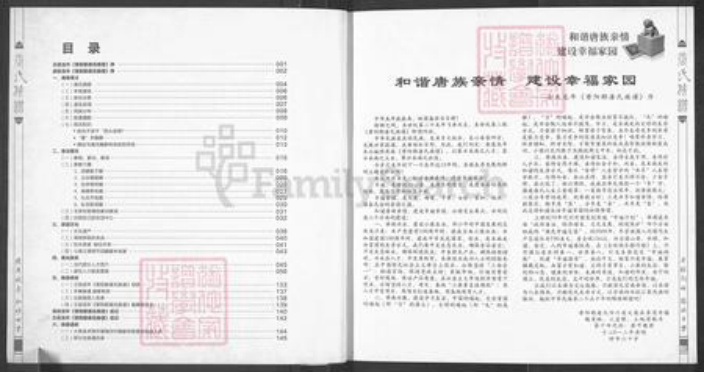 四川省遂宁市大英县唐氏族谱-唐氏族谱.pdf电子版插图4 四川省遂宁市大英县唐氏族谱-唐氏族谱.pdf电子版插图4