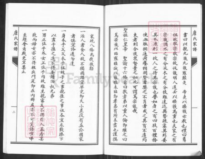 湖南省永州市零陵区唐氏族谱-唐氏家谱.pdf电子版插图4