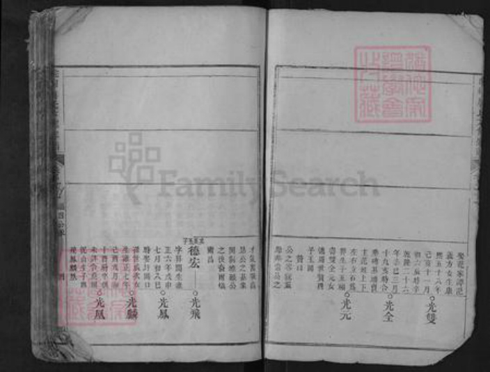 安徽省安庆市桐城市唐氏族谱-皖桐唐氏六修宗谱.pdf电子版插图4