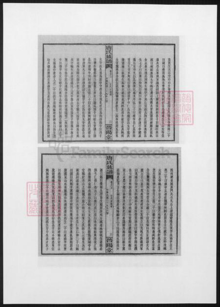 湖南省长沙市浏阳市浏阳唐氏族谱-晋阳唐氏族谱.pdf电子版插图4