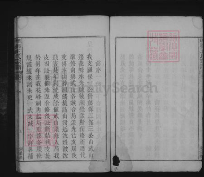 江西省九江市湖口县王氏族谱-琅琊王氏宗谱 [不分卷].pdf电子版插图4