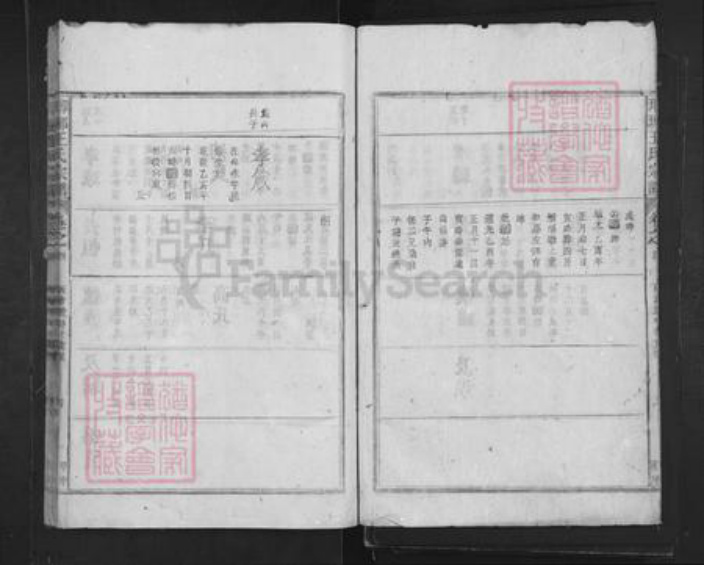 山东省临沂市临沂市王氏族谱-琅琊王氏宗谱.pdf电子版插图4