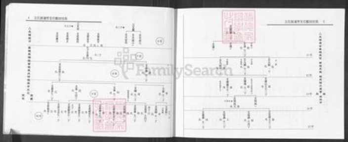 山西省吕梁市柳林县孟门镇王氏族谱-王氏家谱.pdf电子版插图4 山西省吕梁市柳林县孟门镇王氏族谱-王氏家谱.pdf电子版插图4