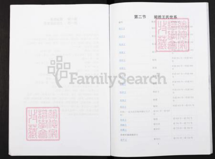 重庆市酆都县王氏三槐堂族谱-重庆市丰都县董家镇蜡烛塘王氏族谱.pdf电子版插图4