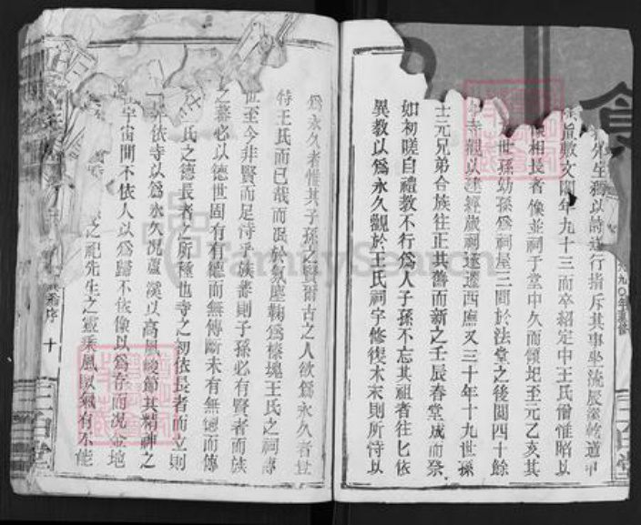 江西省吉安市安福县王氏三白堂族谱-王氏族谱.pdf电子版插图4