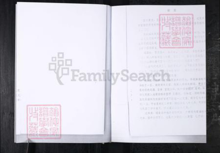 山东省青岛市城阳区王氏族谱-王氏家谱.城阳区红岛前阳村.pdf电子版插图4