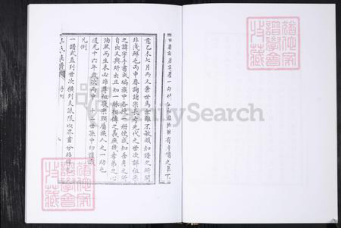 山东省青岛市王氏族谱-王氏族谱.王家庄信村.pdf电子版插图4