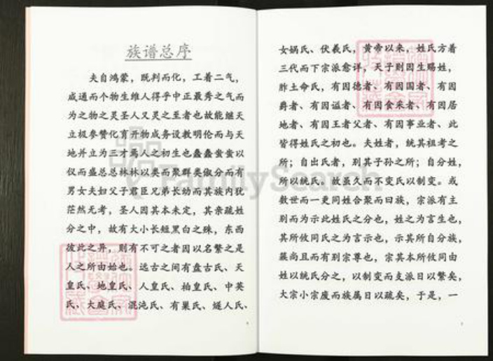 云南省昭通市镇雄县乌峰王氏族谱-王氏家谱.pdf电子版插图4