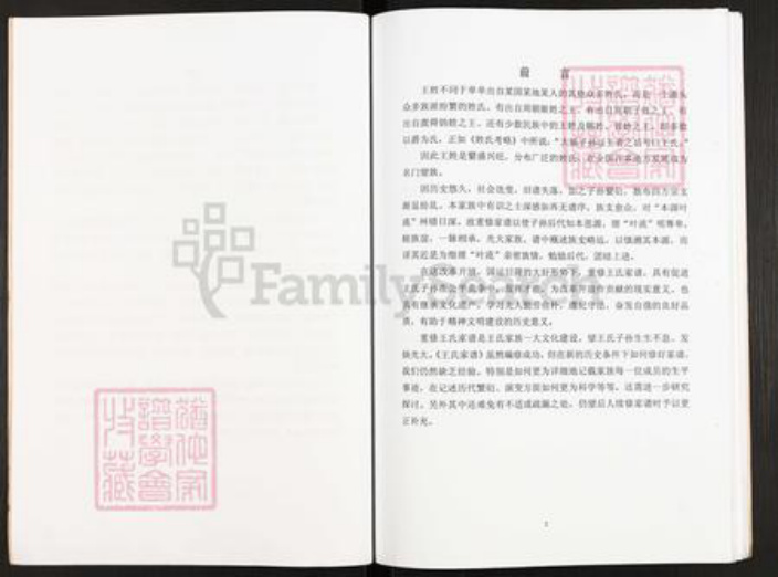江苏省扬州市仪征市大仪镇王氏三槐堂族谱-王氏家谱.pdf电子版插图4