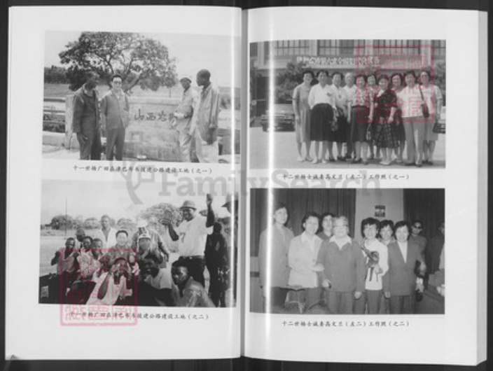 山西省阳泉市平定县冠山镇杨氏族谱-杨氏族谱.pdf电子版插图4