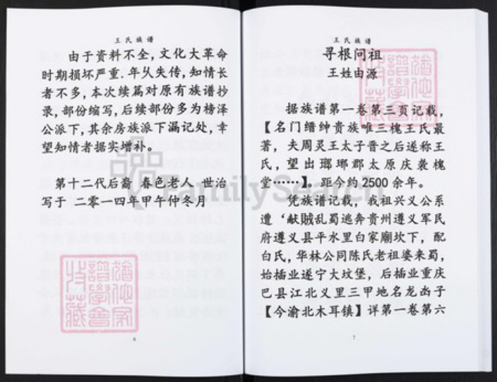 重庆市渝北区王氏袭槐堂族谱-王氏族谱.pdf电子版插图4