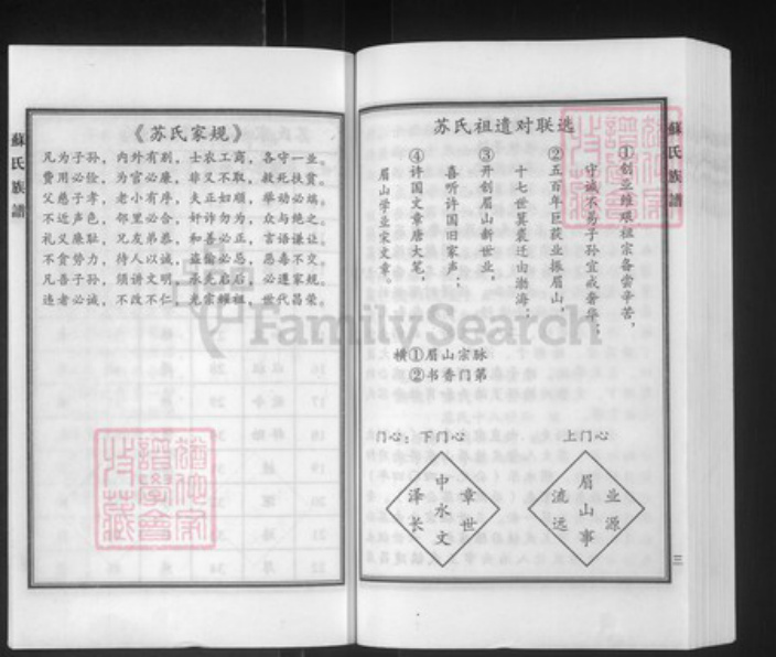 河北省沧州泊头市泊镇镇苏氏族谱-苏氏族谱.pdf电子版插图4