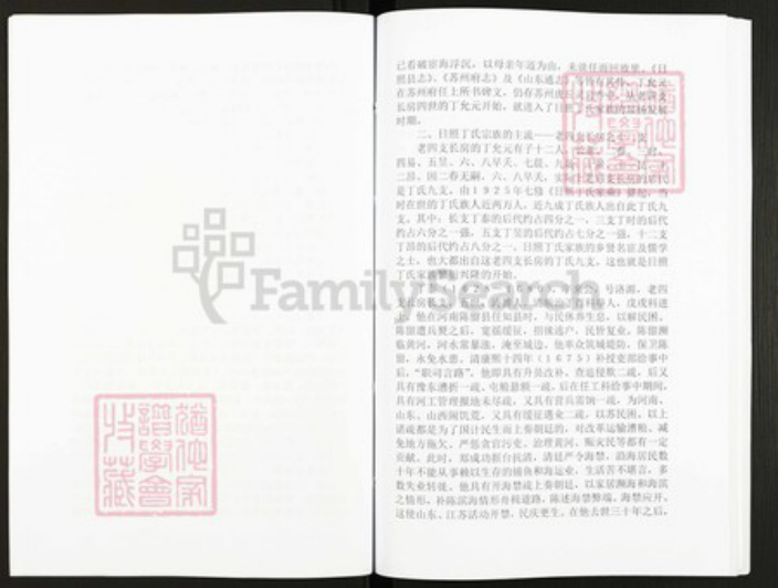 山东省日照市丁氏族谱-丁氏族谱.pdf电子版插图4