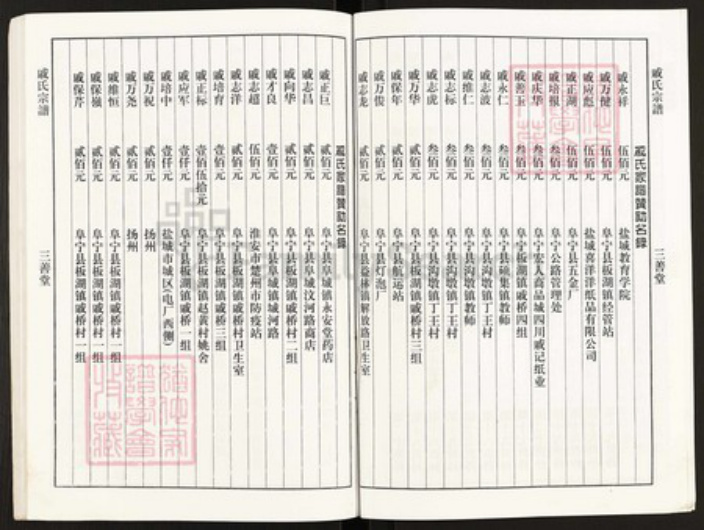 江苏省盐城市阜宁县板湖镇戚氏三善堂族谱-戚氏宗谱.pdf电子版插图4