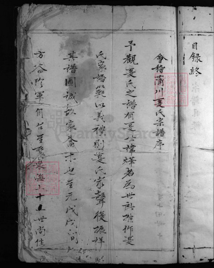 浙江省温州市乐清市夏氏族谱-会稽蒲川夏氏宗谱[残卷].pdf电子版插图4