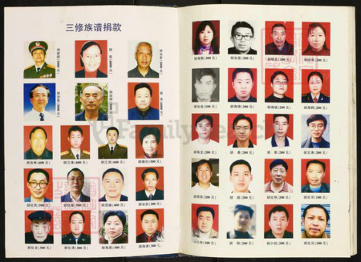 四川省南充市仪陇县四川省南充市仪陇县胡氏族谱-胡氏族谱.pdf电子版插图4