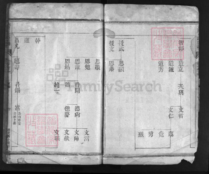 浙江省王氏族谱-太原王氏宗谱[残卷].pdf电子版插图4