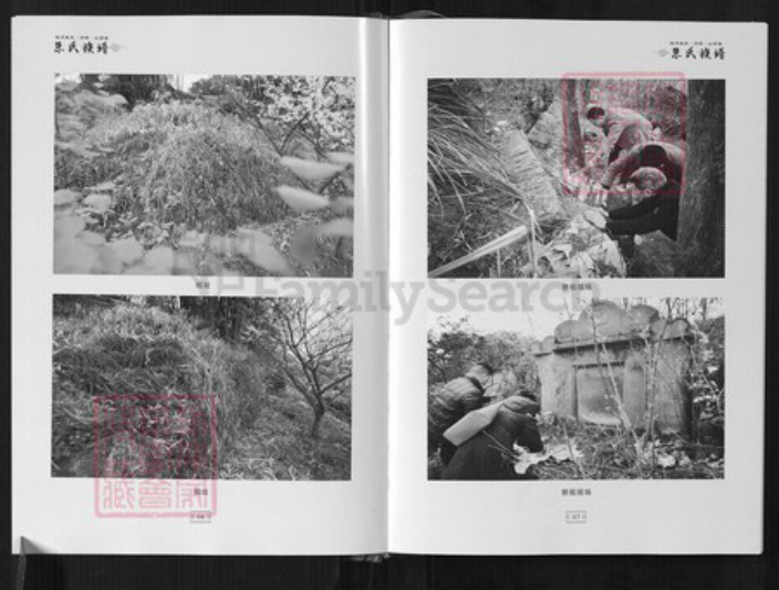 重庆市江北区朱氏族谱-朱氏族谱.明月朱氏(天明)公后裔第一次修撰.pdf电子版插图4