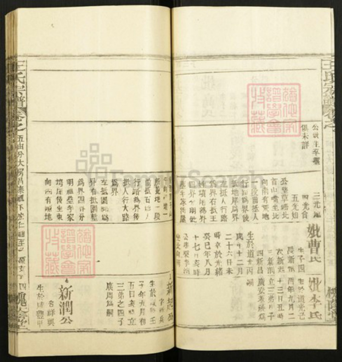 江西省宜春市王氏族谱-王氏宗谱.pdf电子版插图4