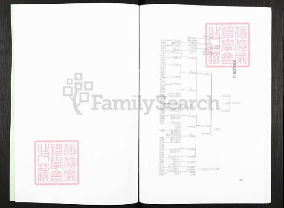 广西壮族自治区玉林平南大鹏镇岑氏族谱-岑氏族谱.pdf电子版插图4