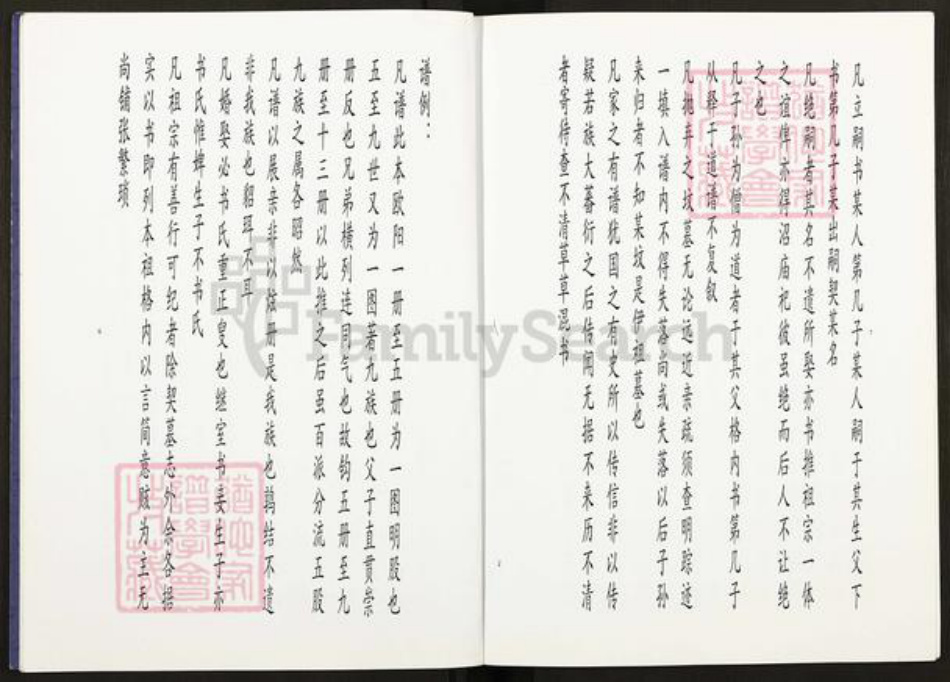 江苏省扬州市高邮市龙虬镇陈氏星聚堂族谱-星聚堂陈氏宗谱.pdf电子版插图4