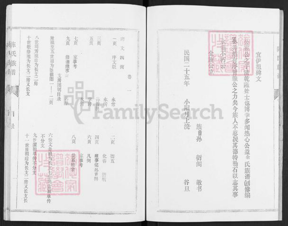 山东省济宁市微山县韩庄镇陈氏颖川堂族谱-陈氏族谱.pdf电子版插图4