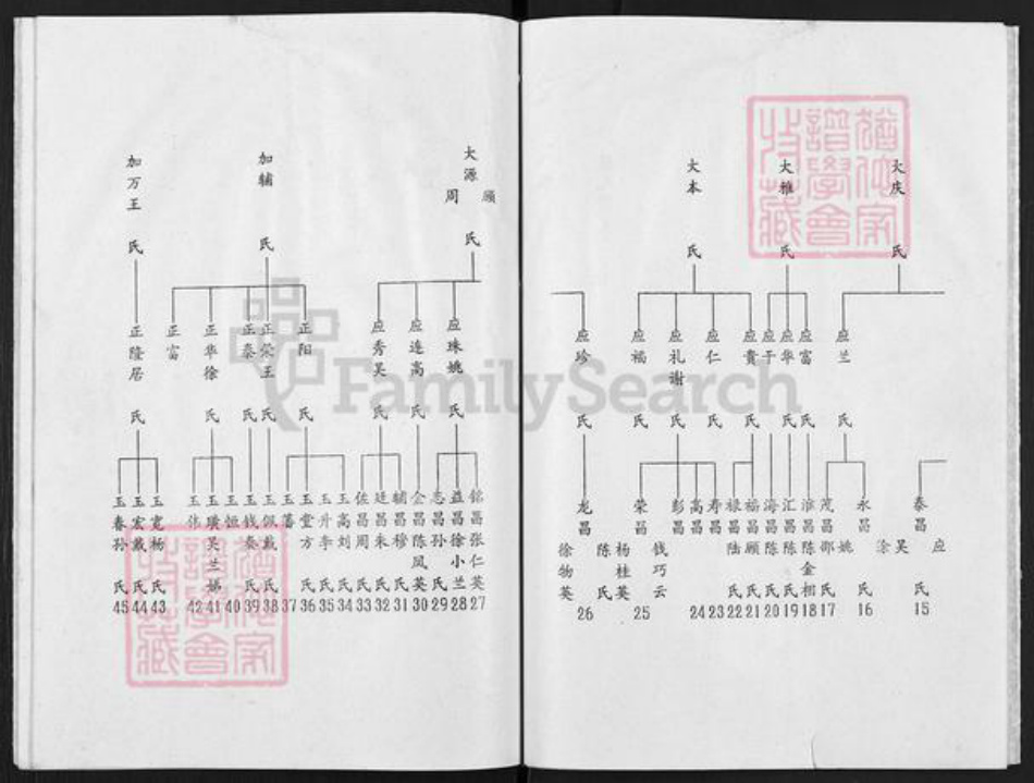 江苏省扬州市高邮市陈氏颖川堂族谱-陈氏谱书.pdf电子版插图4