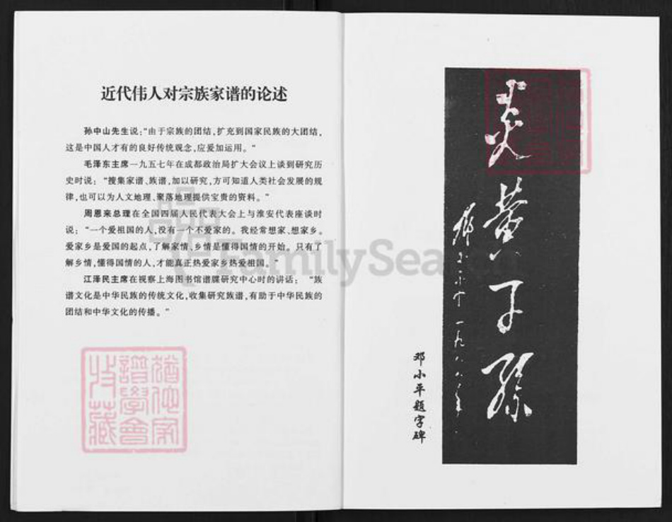 四川省绵阳市游仙区游仙街道陈氏族谱-陈氏家谱.pdf电子版插图4