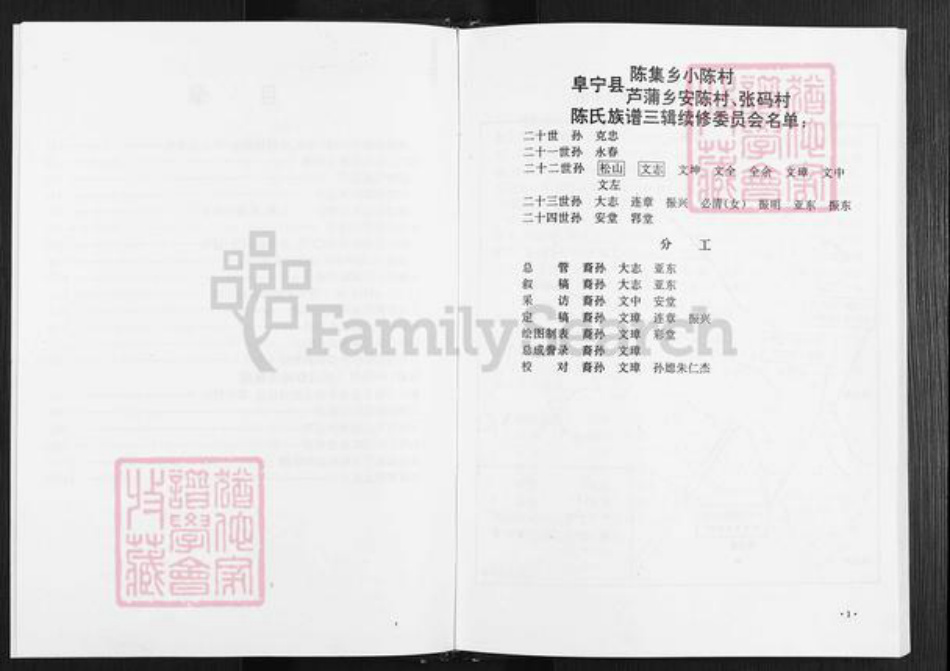 江苏省盐城市阜宁县陈集镇陈氏族谱-陈氏家谱.pdf电子版插图4
