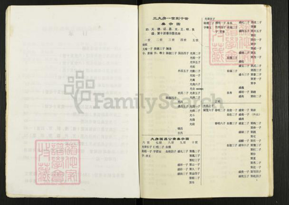 重庆市潼南区太安镇陈氏族谱-陈氏族(简)谱.pdf电子版插图4 重庆市潼南区太安镇陈氏族谱-陈氏族(简)谱.pdf电子版插图4