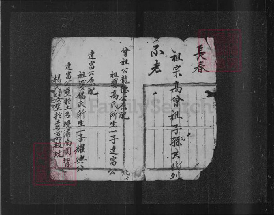 香港陈氏族谱-[陈氏族谱].pdf电子版插图4