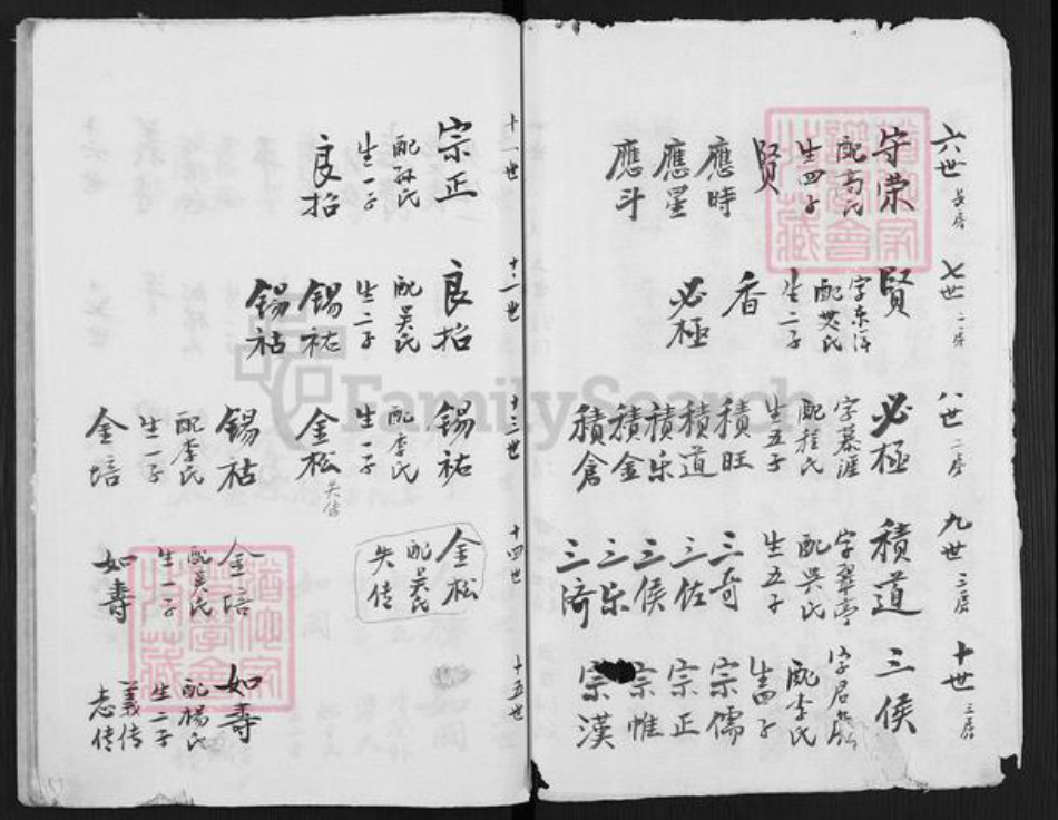 江苏省盐城市亭湖区伍佑街道陈氏族谱-陈门家谱.pdf电子版插图4