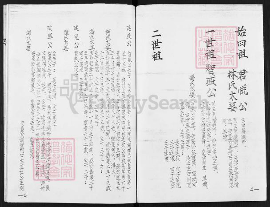 广东省清远市陈氏世昌堂族谱-陈氏族谱.pdf电子版插图4