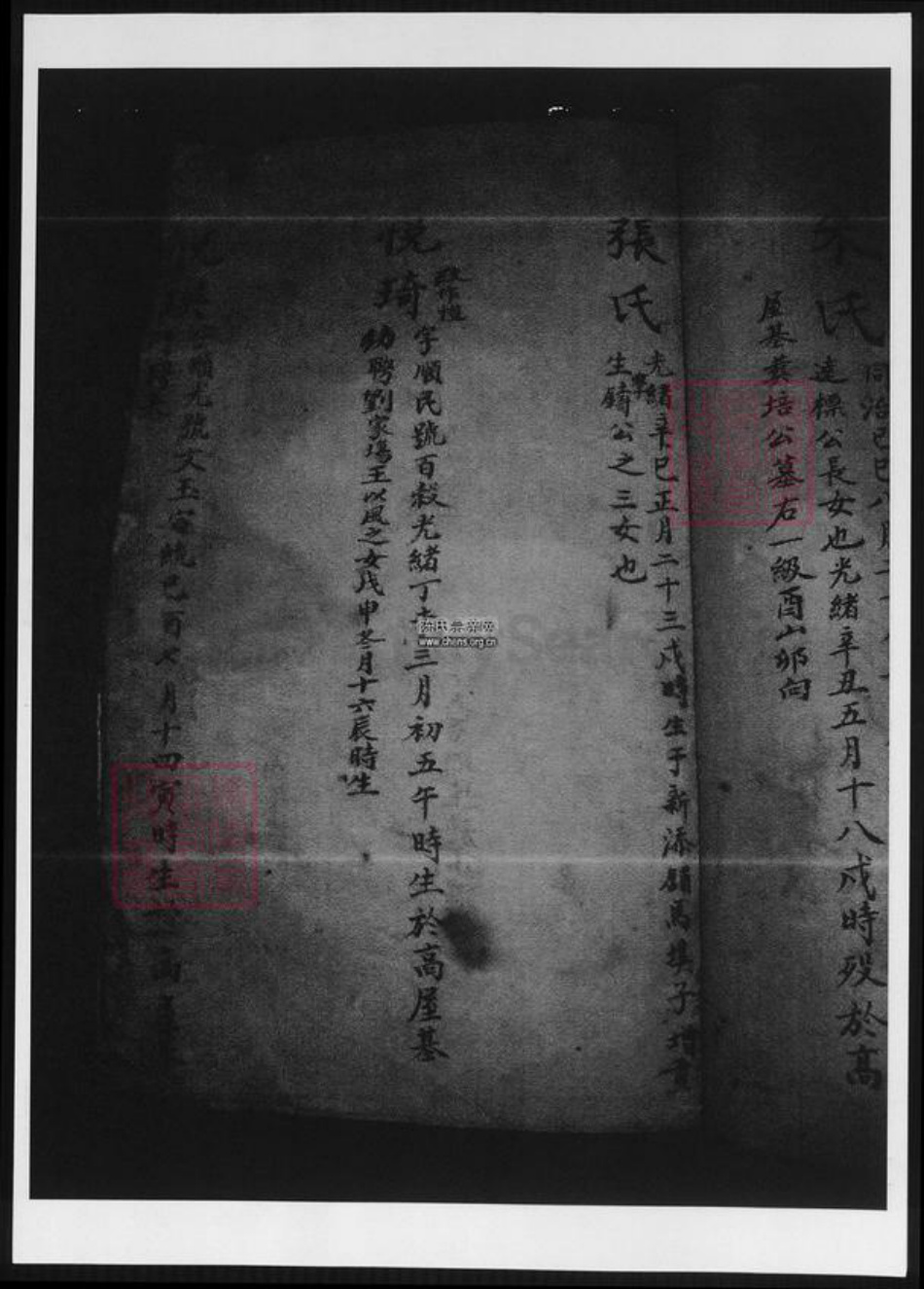 江西省陈氏族谱-南康府陈氏族谱.pdf电子版插图4