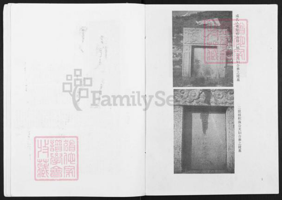 广东省清远市清新区浸潭镇成氏族谱-成氏族谱.pdf电子版插图4