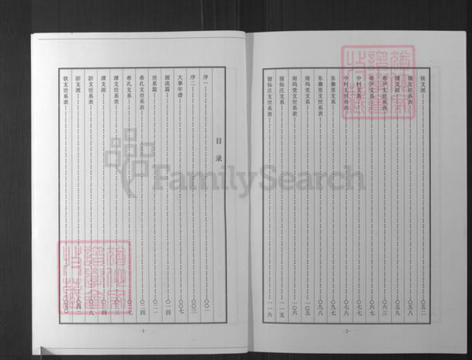 山东省烟台市招远市罗峰街道丁氏族谱-招远丁家庄子丁氏族谱.pdf电子版插图4