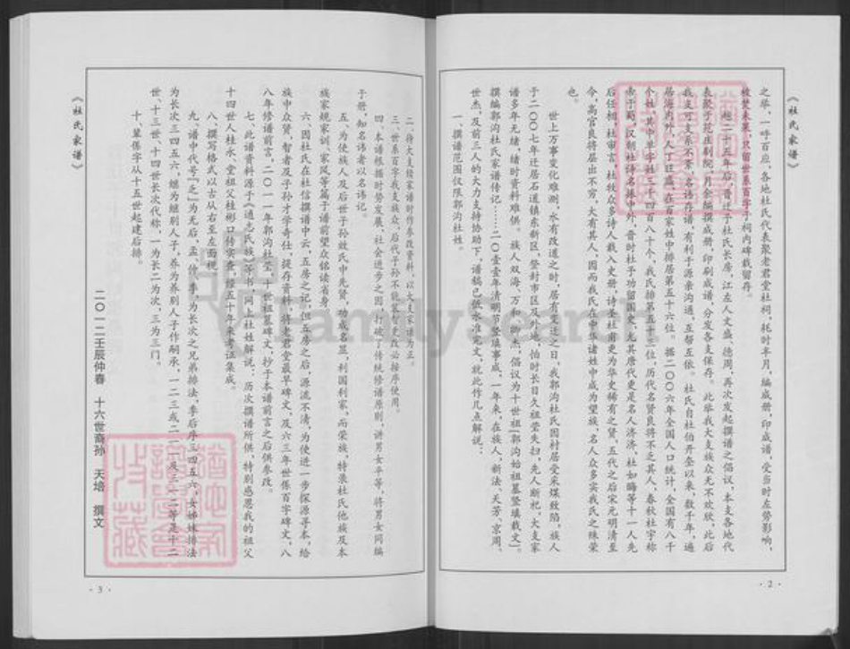 河南省郑州市登封市石道乡杜氏族谱-杜氏家谱.pdf电子版插图4