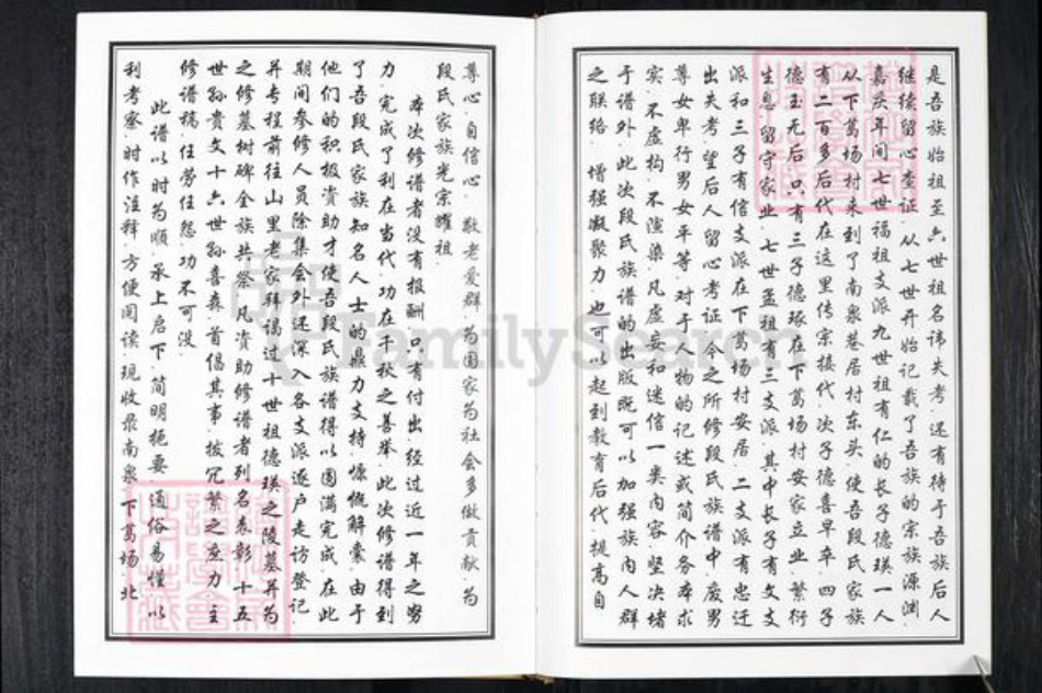 山东省青岛市段氏族谱-段氏族谱.pdf电子版插图4