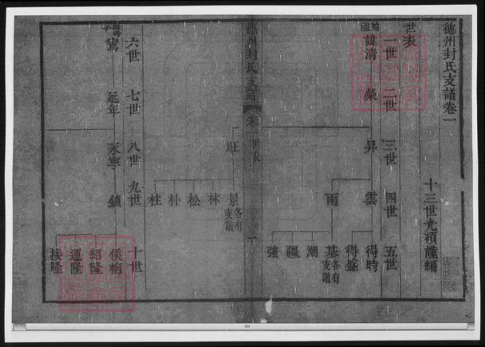 山东省德州市封氏族谱-德州封氏支谱.pdf电子版插图4
