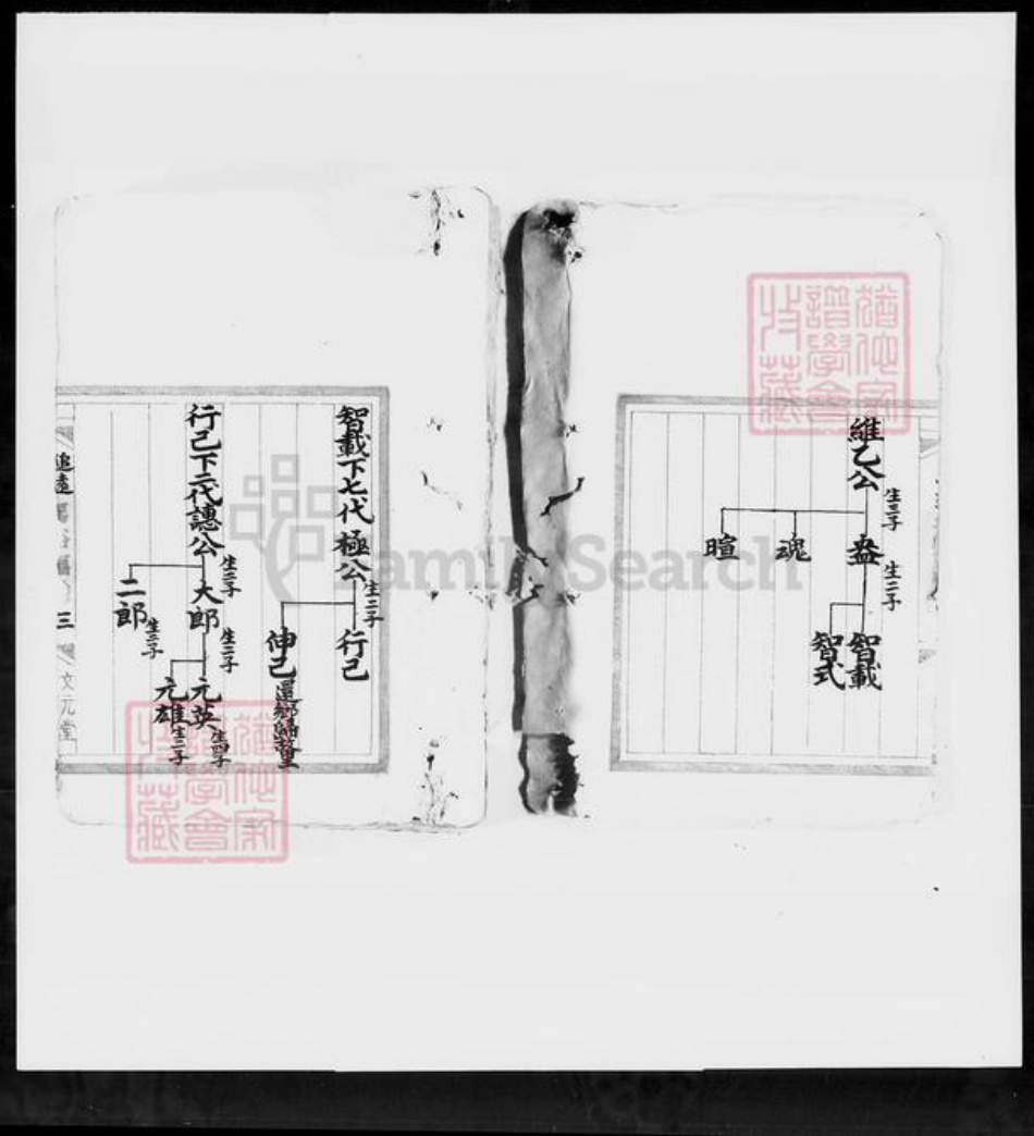 广东省佛山市顺德区冯氏文元堂族谱-冯裕福堂家谱.pdf电子版插图4