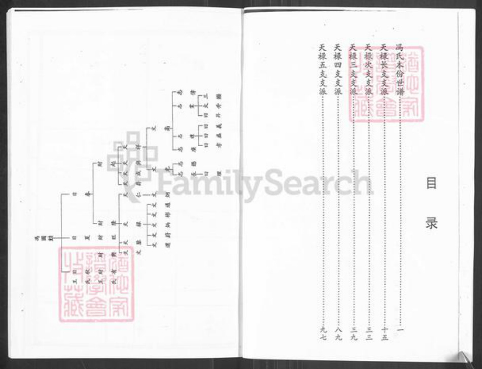 山东省烟台市栖霞市冯氏族谱-冯氏本分世谱.pdf电子版插图4