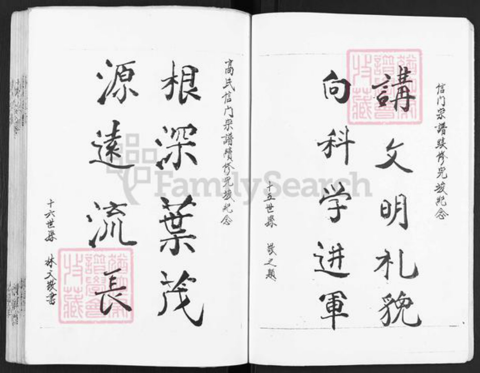 江苏省盐城市建湖县庆丰镇高氏渤海堂族谱-古盐高氏宗谱.信门.pdf电子版插图4