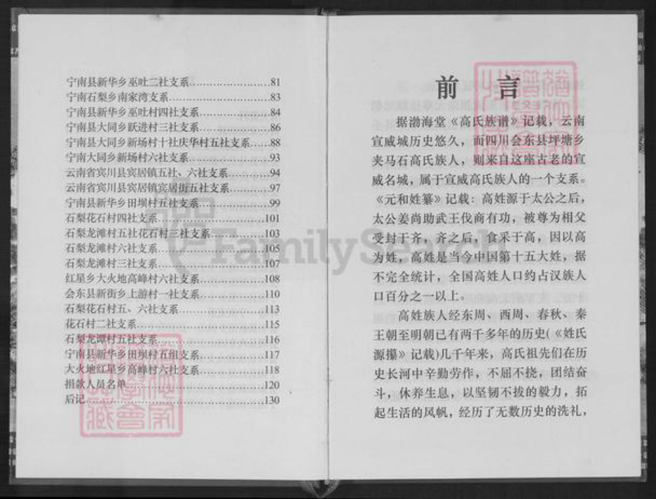 四川省凉山彜族自治州会东县堵格镇高氏族谱-夹马石高氏族谱.pdf电子版插图4