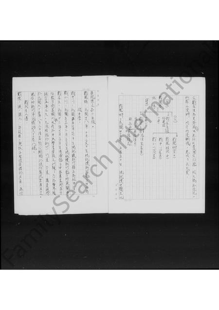 福建戴氏族谱-[褔建漳浦迁台戴氏家谱].pdf电子版插图4