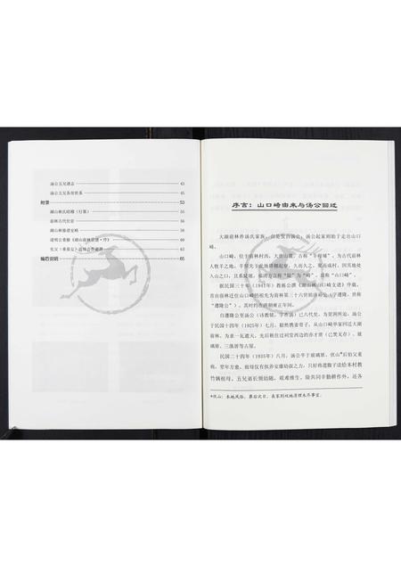 福建汤氏族谱-汤氏家谱.pdf电子版插图4