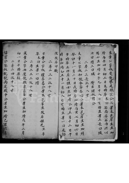 福建唐氏族谱-清溪温泉唐氏族谱.pdf电子版插图4