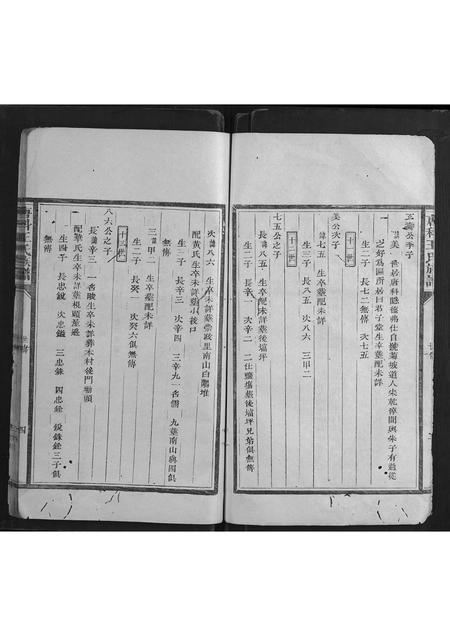 福建王氏族谱-唐科王氏族谱.pdf电子版插图4 福建王氏族谱-唐科王氏族谱.pdf电子版插图4